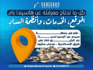 كل ما تحتاج معرفته عن هاسيندا باي: الموقع، الخدمات، وأنظمة السداد